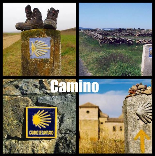 2027 Camino de Santiago (12 Day Trip)